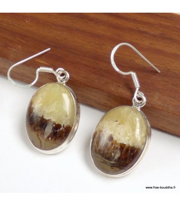 Boucles d’oreilles véritables Septaria ovales argent 925