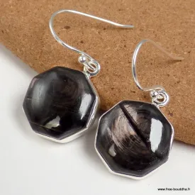 Boucles d'oreilles Hypersthène hexagonales - Boucles d'oreilles en pierres naturelles