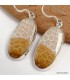 Boucles d’oreilles Corail fossile indonésien argent 925
