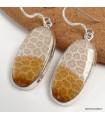 Boucles d’oreilles Corail fossile indonésien argent 925