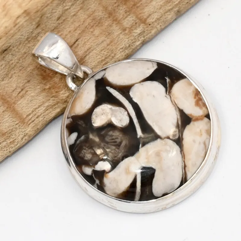 Pendentif Bois fossilisé de Cacahuétier rond - Bijoux en Bois pétrifié