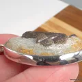 Staurolite Porte-Bonheur - Pendentif Argent 925 Massif