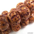 Mala Rudraksha poli Authentique 108 perles - Fait main au Népal