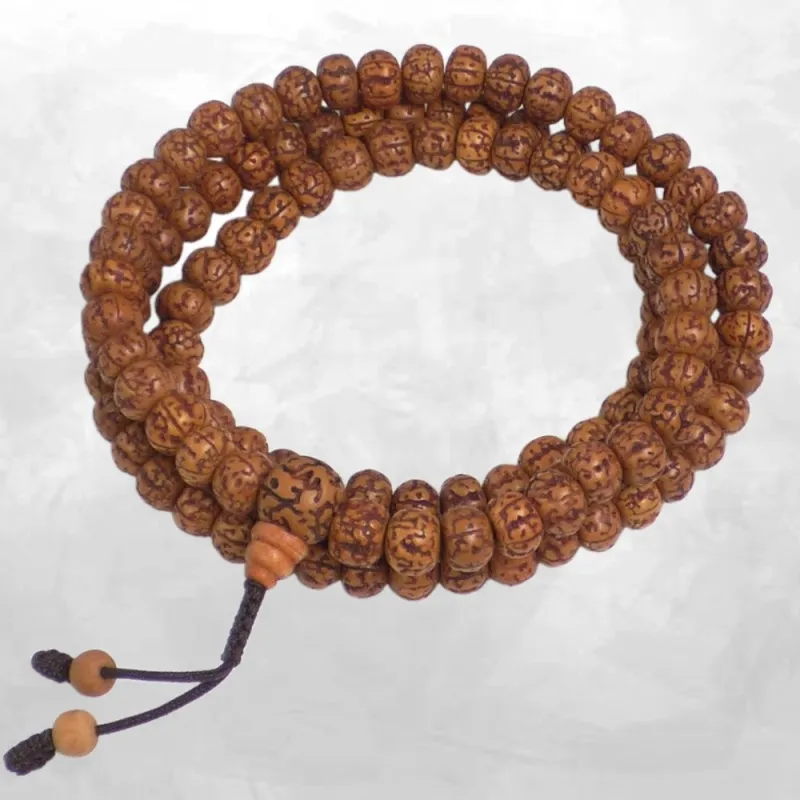 Mala Rudraksha poli Authentique 108 perles - Fait main au Népal