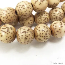 Mala en graines de lotus authentiques – 108 perles 8 mm – Népal