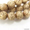 Mala en graines de lotus authentiques – 108 perles 8 mm – Népal