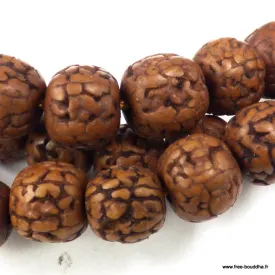 Mala Rudraksha authentique – 108 perles brunes polies – Népal