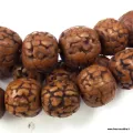 Mala Rudraksha authentique – 108 perles brunes polies – Népal