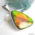 Pendentif Ammolite Authentique forme libre - Canada - Pendentifs pierres naturelles