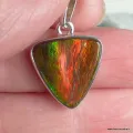 Pendentif Ammolite du Canada triangulaire grade AAA - Pendentifs pierres naturelles