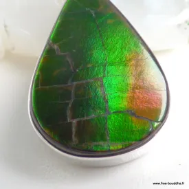 Pendentif Ammolite Verte du Canada - Authentique AAA - Pendentifs pierres naturelles