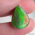 Pendentif Ammolite Verte du Canada - Authentique AAA - Pendentifs pierres naturelles