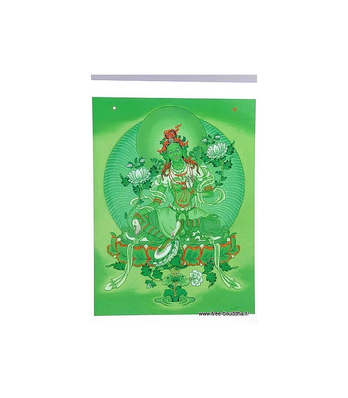 Carte postale divinité Tara Verte Cartes postales bouddhistes CPB3