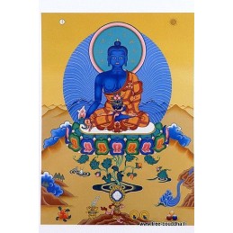 Carte postale bouddhiste BOUDDHA DE MEDECINE Objets rituels bouddhistes CPB7