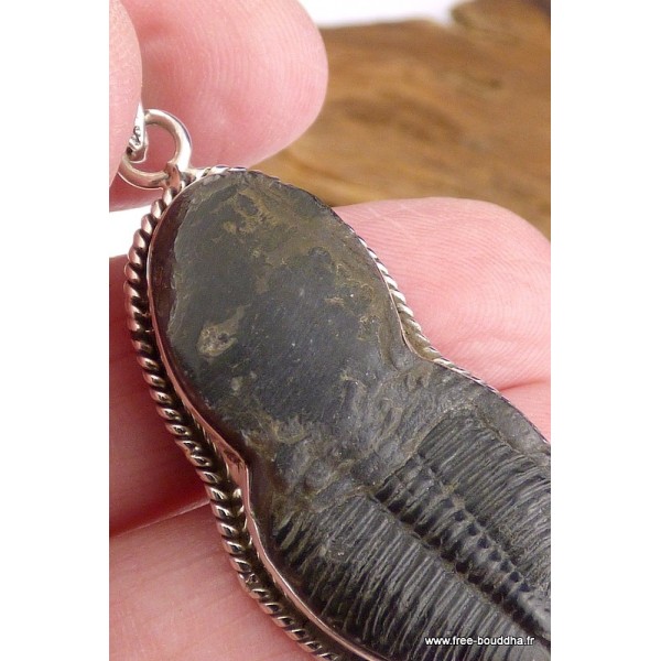 Pendentif argent Trilobite (pierre fossile) Pendentifs pierres naturelles CZ88.27