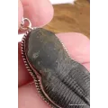 Pendentif argent Trilobite (pierre fossile) - Pendentifs pierres naturelles