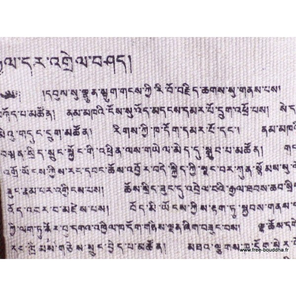 Sac tibétain Drapeau du Tibet Sacs tibétains et indiens SACDT1