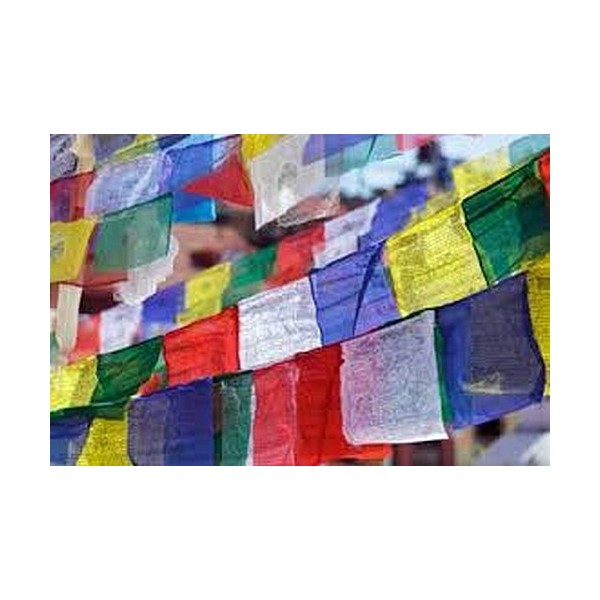 Drapeau de prières 20/25 drapeaux 13 x 15 cm Drapeaux tibétains drapeau PM