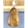 Bijou pendentif Bois Pétrifié Pendentifs pierres naturelles k15.1
