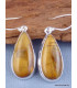 Boucles d'oreilles en Nellite forme goutte Bijoux en Nellite WL53