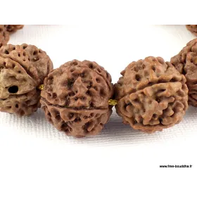 Bracelet tibétain Rudraksha grosses graines - Bracelets tibétains bouddhistes