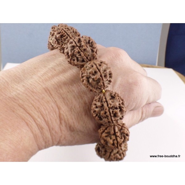 Bracelet mala en grosses Graines de Rudraksha Bracelet Mala tibétain BMPR