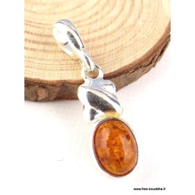 Petit pendentif Ambre de la Baltique Pendentifs pierres naturelles AMB46.2