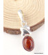 Petit pendentif Ambre de la Baltique Pendentifs pierres naturelles AMB46.2