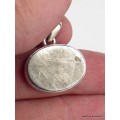 Pendentif en Météorite Muoniolalusta oval Pendentifs pierres naturelles XV44.1