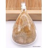Pendentif goutte en Corail fossile indonésien Pendentifs pierres naturelles XV26.2