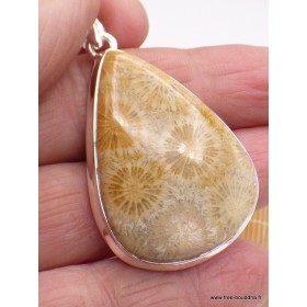 Pendentif goutte en Corail fossile indonésien Pendentifs pierres naturelles XV26.2