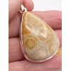 Pendentif goutte en Corail fossile indonésien Pendentifs pierres naturelles XV26.2