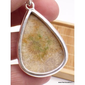 Pendentif goutte en Corail fossile indonésien Pendentifs pierres naturelles XV26.2