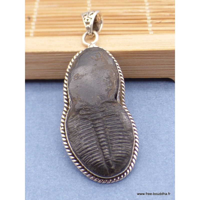 Pendentif argent Trilobite (pierre fossile) Pendentifs pierres naturelles CZ88.27