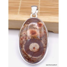 Pendentif Jaspe Oeil d'Oiseau mexicain rouge brun Pendentifs pierres naturelles WL66.5