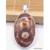 Pendentif Jaspe Oeil d'Oiseau mexicain rouge brun Pendentifs pierres naturelles WL66.5