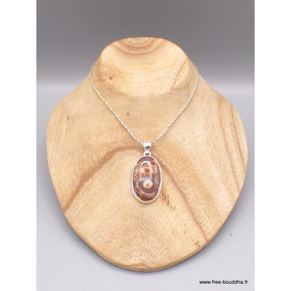 Pendentif Jaspe Oeil d'Oiseau mexicain rouge brun Pendentifs pierres naturelles WL66.5