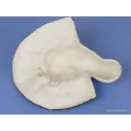 Masque Ganesh en plâtre - Objets Ganesh