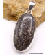 Pendentif oval en Os de dinosaure Pendentifs pierres naturelles PU29.1