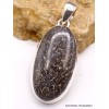 Pendentif oval en Os de dinosaure Pendentifs pierres naturelles PU29.1