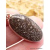 Pendentif oval en Os de dinosaure Pendentifs pierres naturelles PU29.1