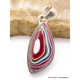 Pendentif Fordite Agate Detroïte rouge verte Pendentifs pierres naturelles XV17.4