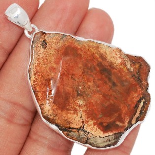 Bijoux en Bois pétrifié