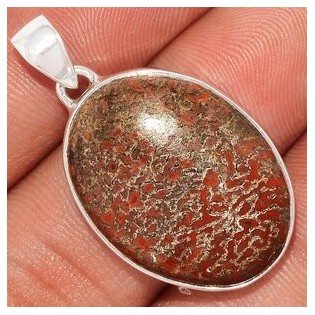 Bijoux en Os de Dinosaure