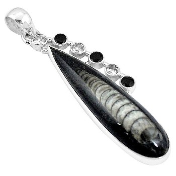 Bijoux en Orthoceras