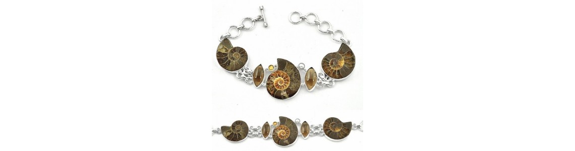 Bijoux en Ammonite