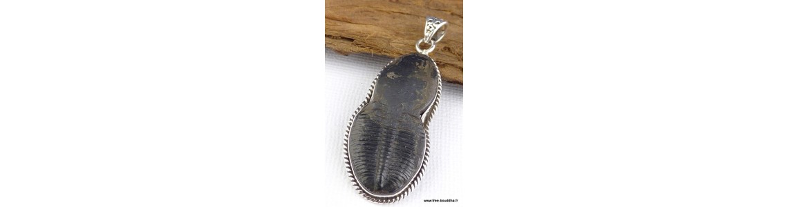 Bijoux en Trilobite