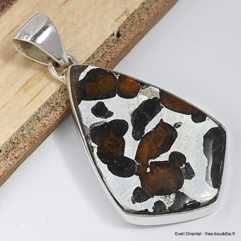 Bijoux en Pallasite