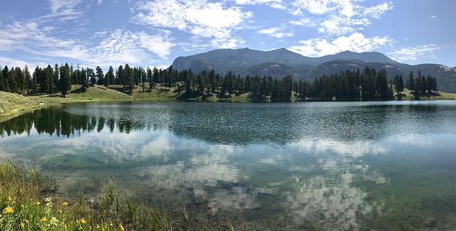park national de Yellowstone