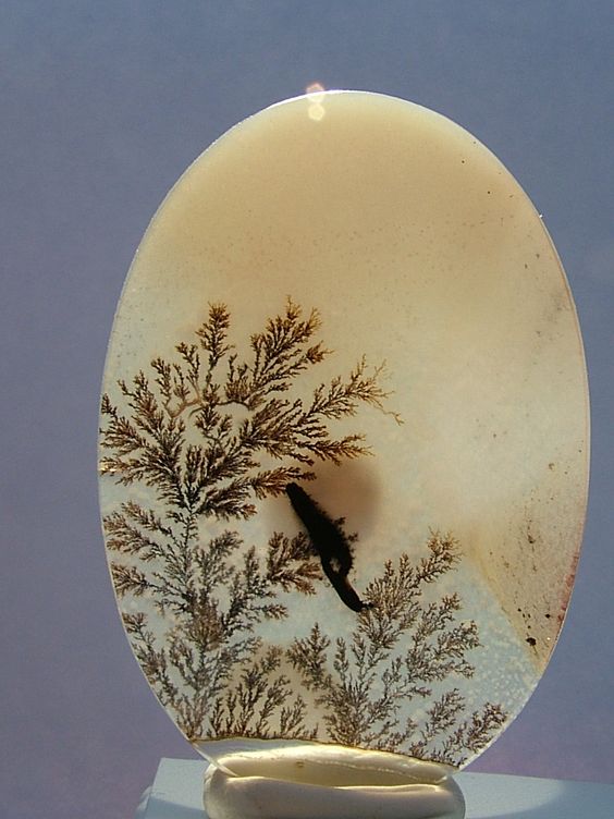 agate-scenique-vertus